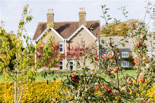 House from Orchard